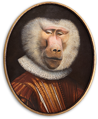 一只猴子的画肖像